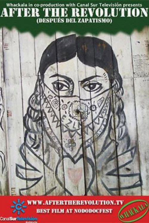 Después del Zapatismo