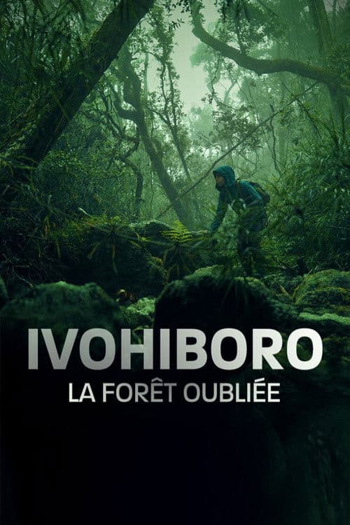 Ivohiboro: La Forêt Oubliée