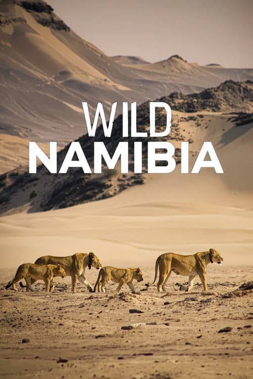 Namibia’s Desert Kingdom