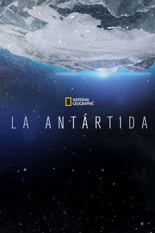 Antártida: El continente blanco