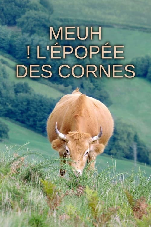 Meuh! L’épopée des cornes