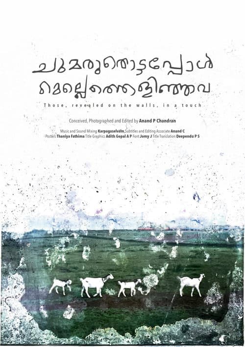 ചുമരുതൊട്ടപ്പോൾ മെല്ലെത്തെളിഞ്ഞവ