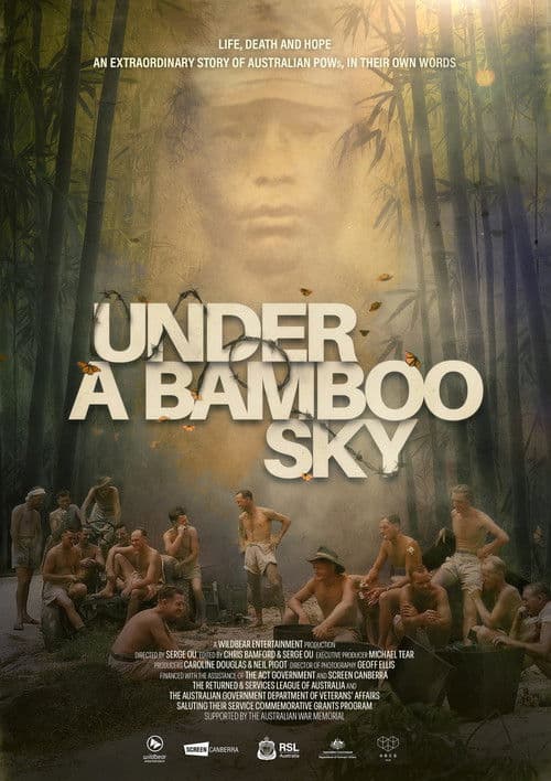 Under a Bamboo Sky