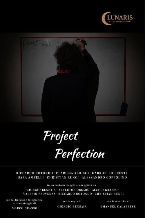 Proyecto Perfección
