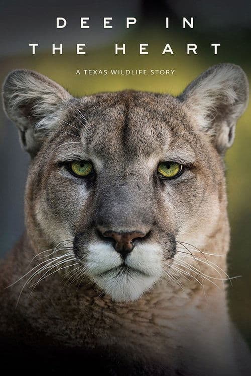 En lo profundo del corazón (Deep in the Heart: A Texas Wildlife Story)