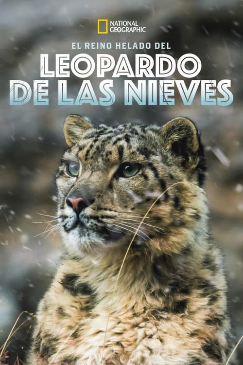 Leopardo de las Nieves