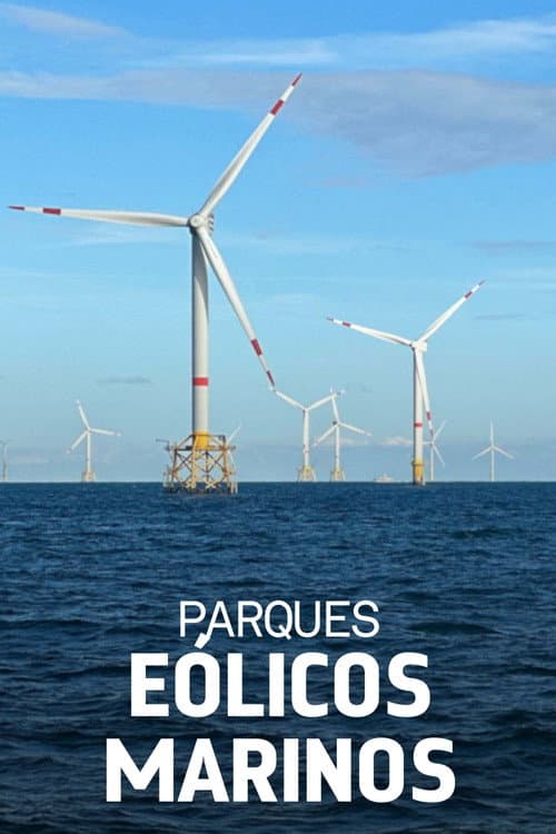 Windparks im Meer - Chance oder Risiko für die Natur?