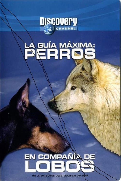 The Ultimate Guide - Dogs