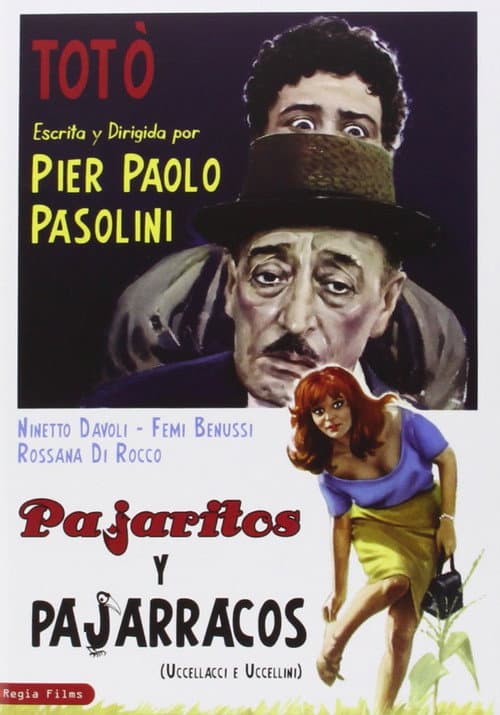Uccellacci e uccellini