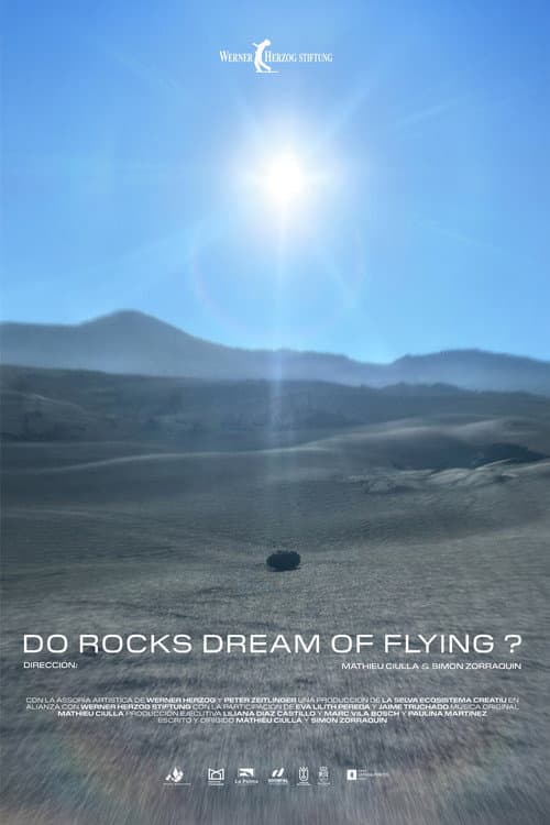 ¿Sueñan las piedras con volar?