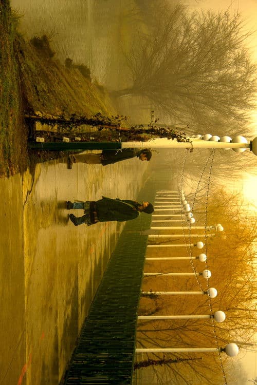 ბუზის მიზეზით