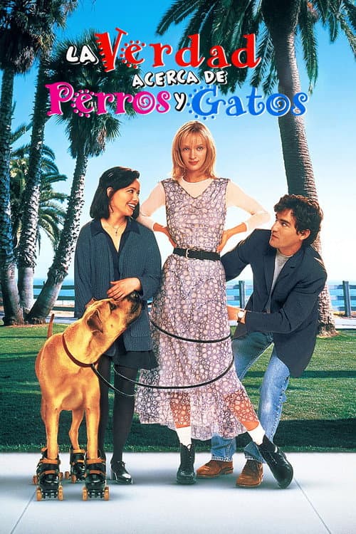 La verdad acerca de perros y gatos