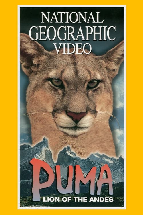 Puma: Lion of the Andes