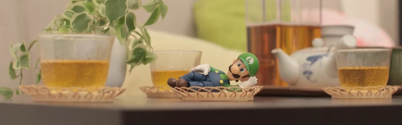 Luigi's Toy Adventure