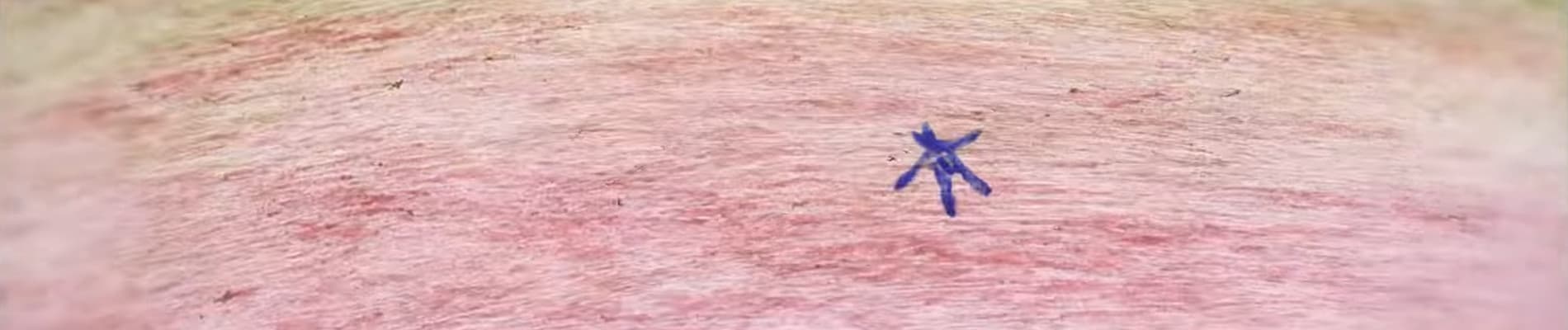 Kaitai Shita Inu no Blues