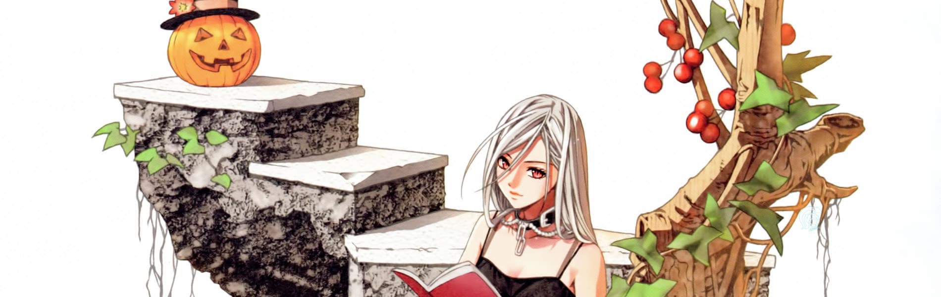 Rosario + Vampire Capu2