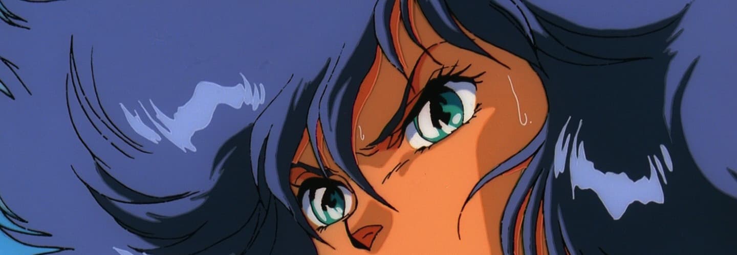 Hyper Combat Unit Dangaioh