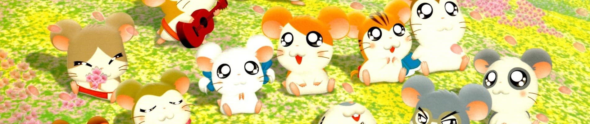 Hamtaro