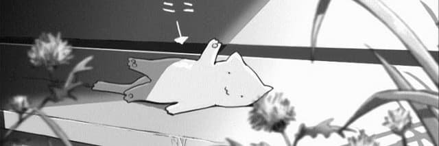 She and Her Cat: Their Standing Points