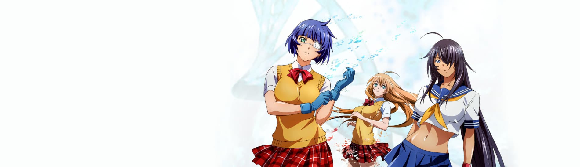 Ikki Tousen: Western Wolves