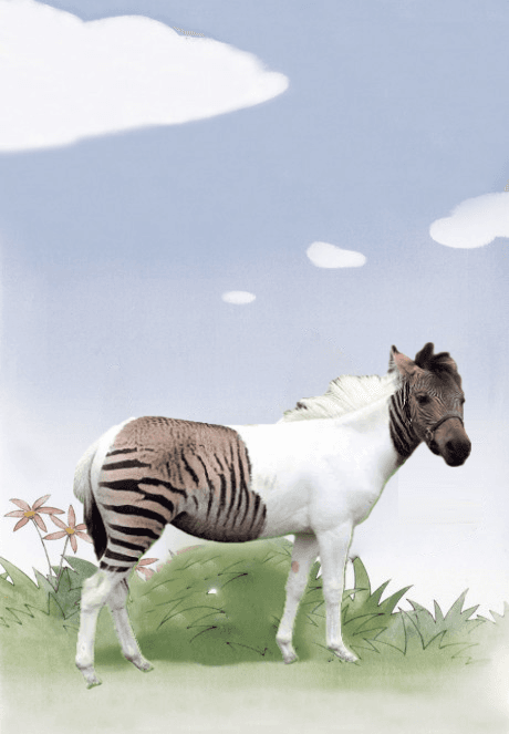 Chi's Sweet Home - Chi's New Address