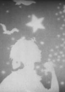 Dream of a Snowy Night