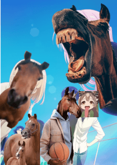 Shikimori's Not Just a Cutie