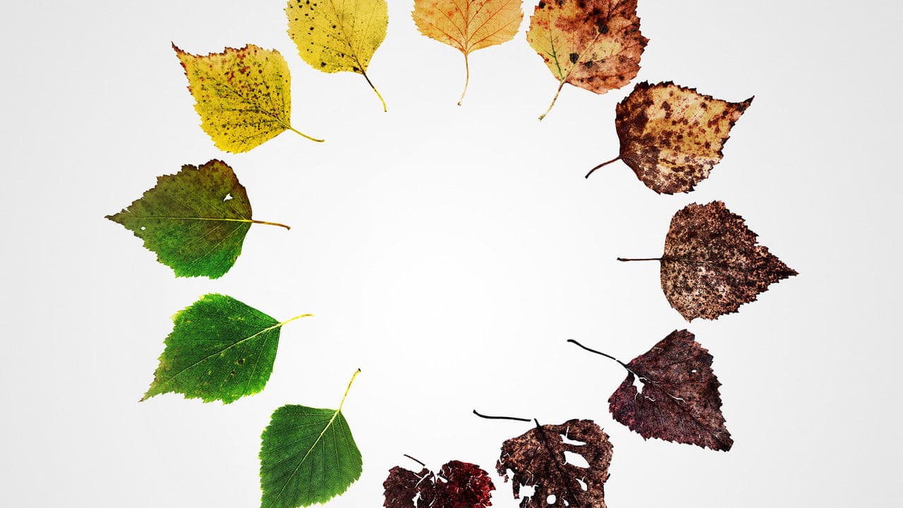 Finales Alternativos: Seis Nuevas Maneras De Morir En Los EE. UU.