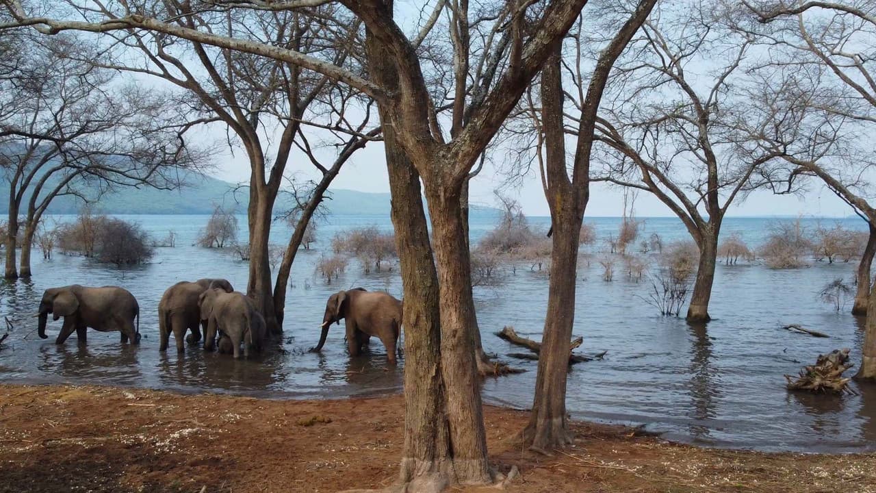 Le lac Tanganyika, la source de vie de l'Afrique