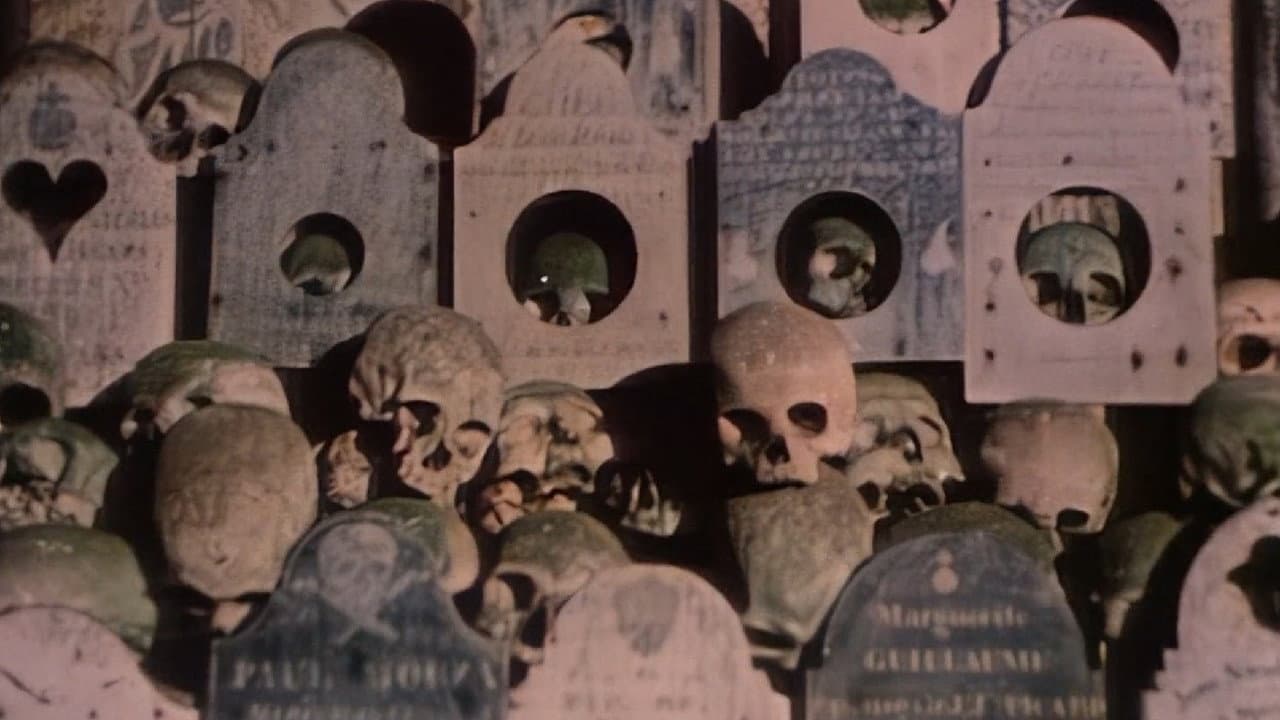 Faces of Death II