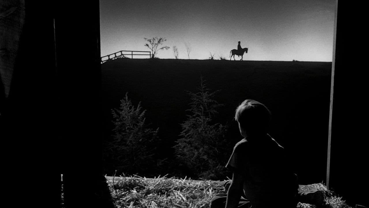 La noche del cazador