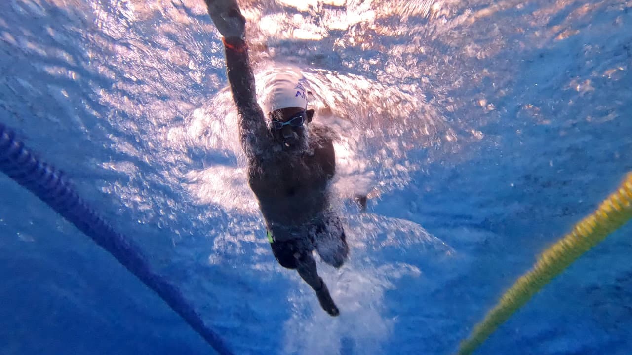 Dive: The Beginning