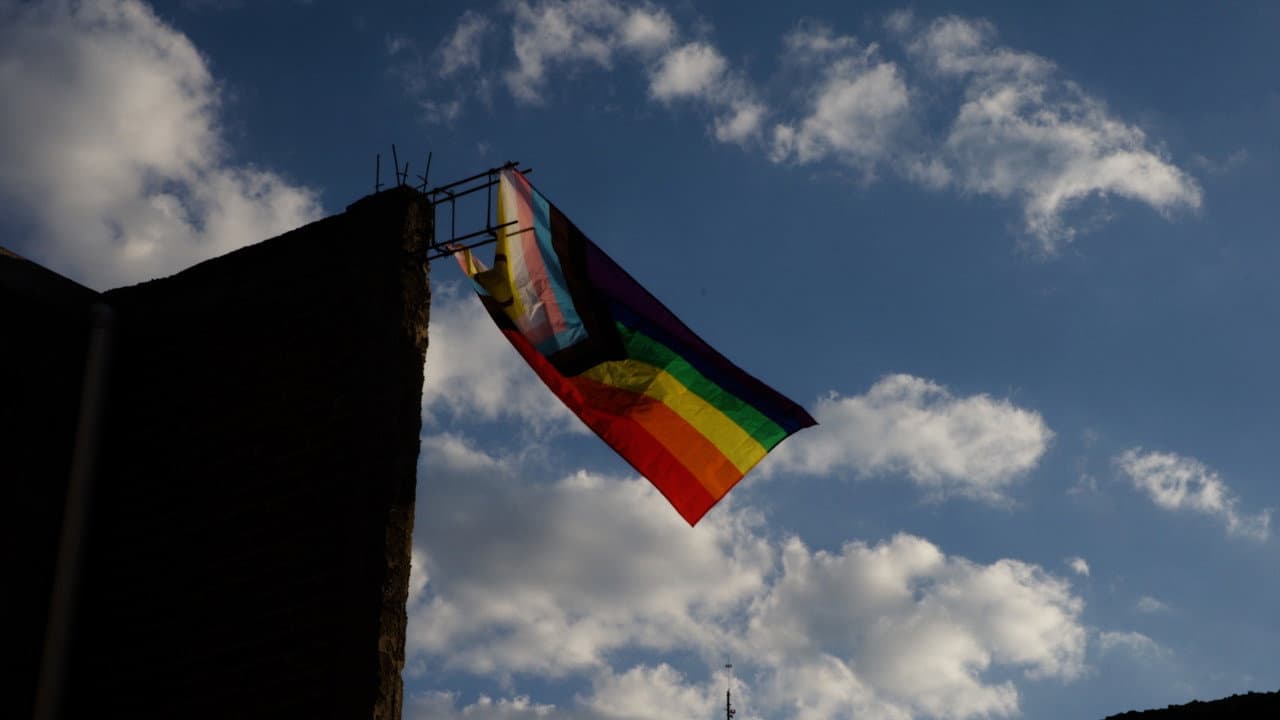 Guanajuato: Disidencias y diversidad
