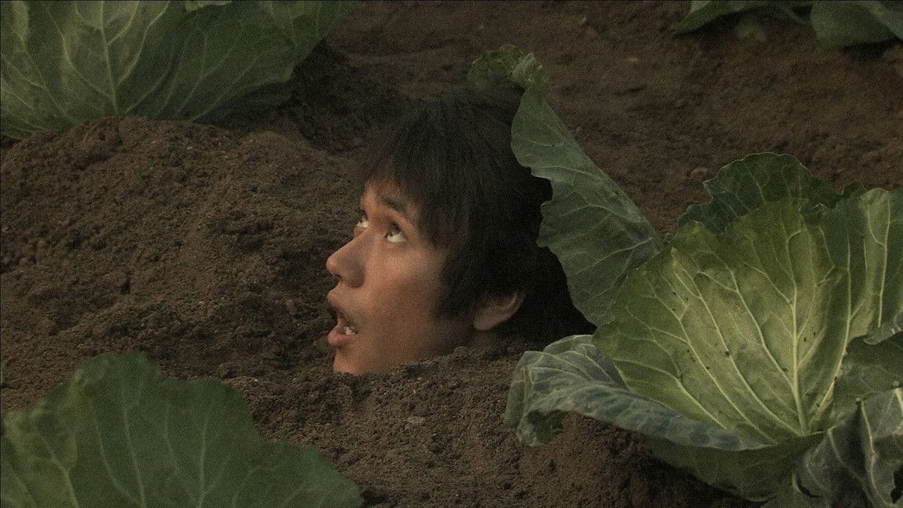 ウルトラミラクルラブストーリー