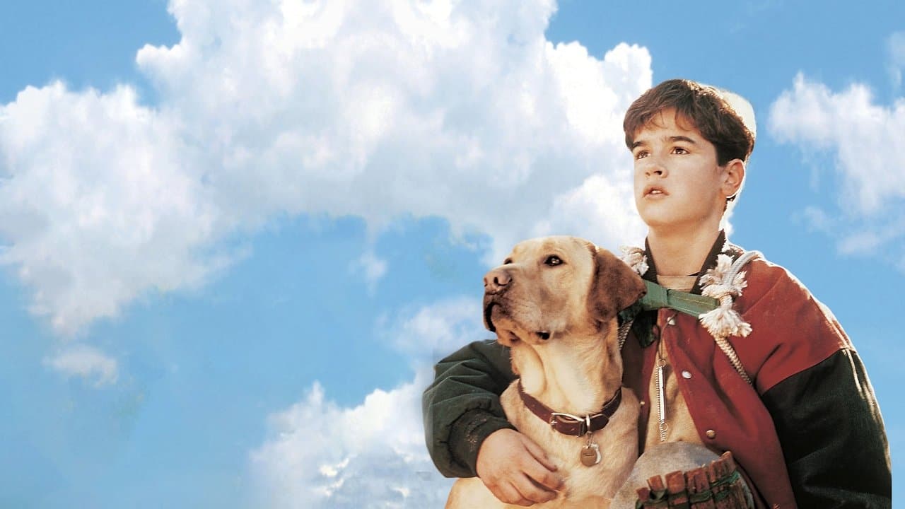 Far from Home: The Adventures of Yellow Dog