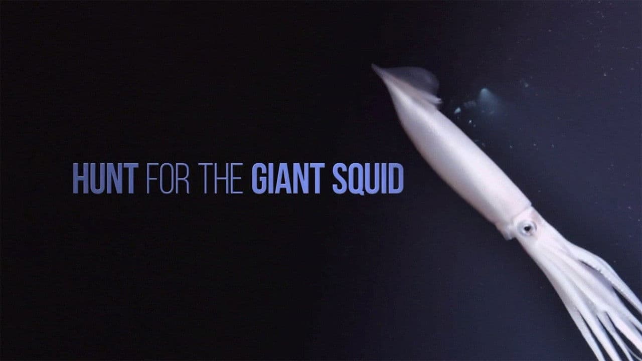 Hunt For The Giant Squid