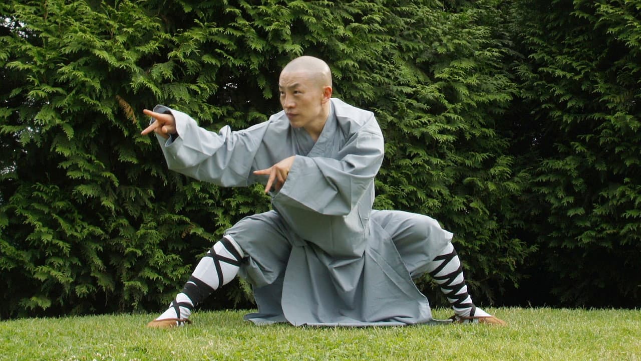 功夫傳奇