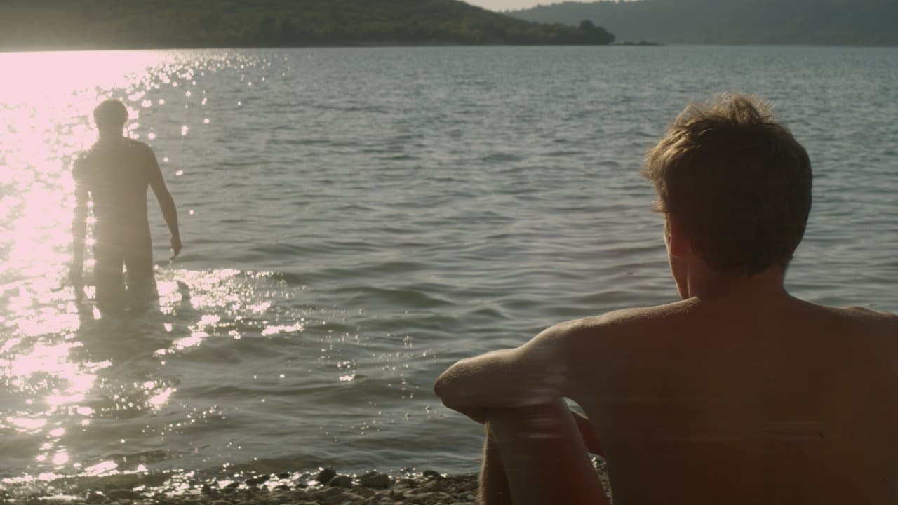 El extraño del lago