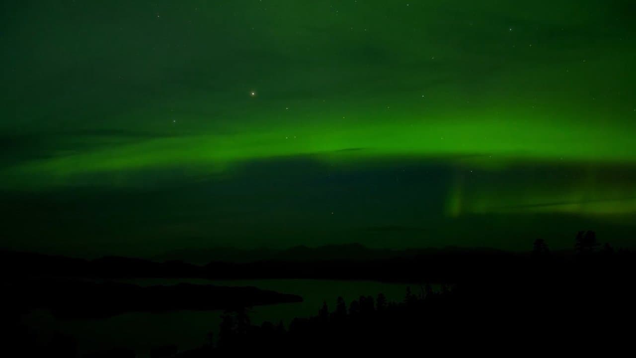 Estrellas en el cielo: Historias de caza