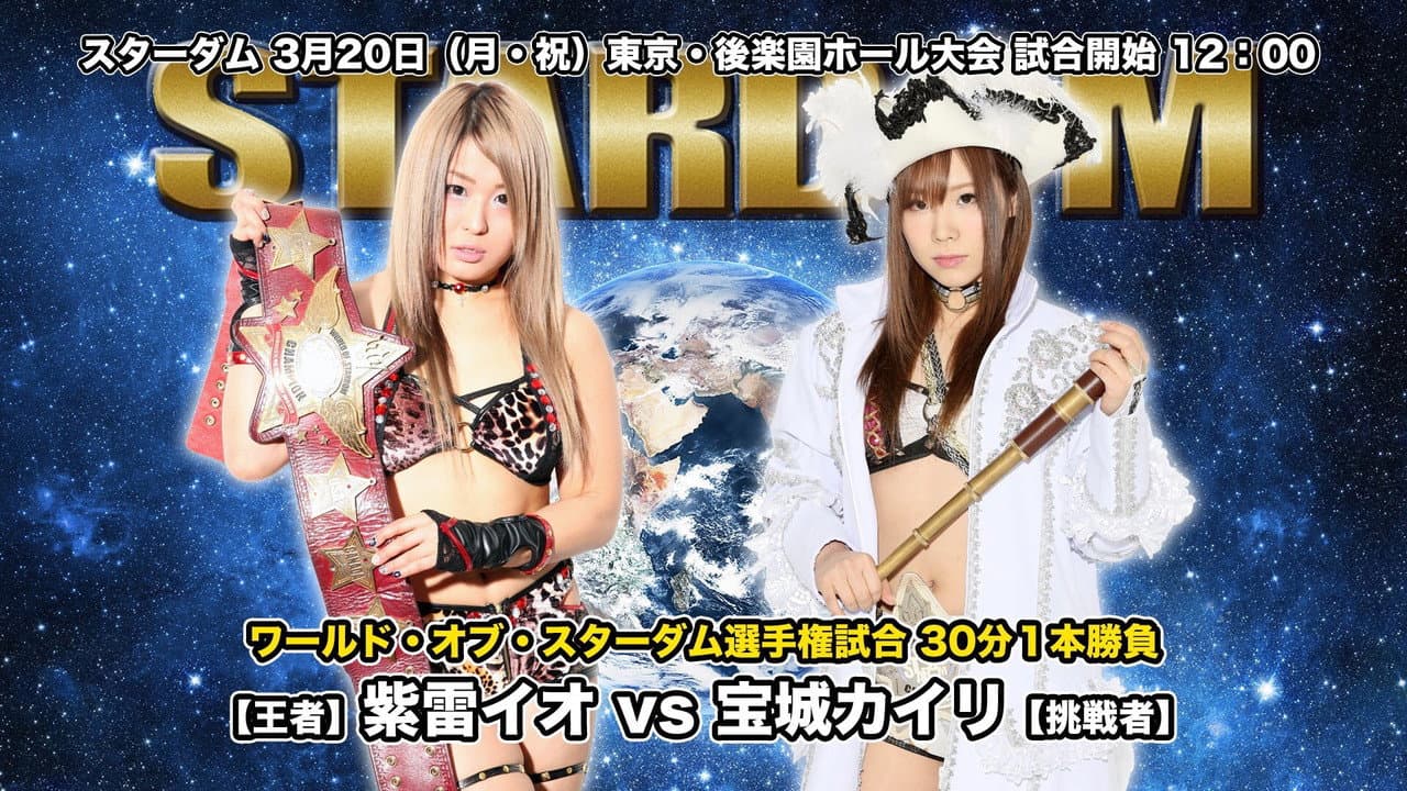 STARDOM THE HIGHEST2017