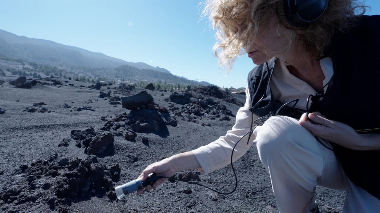 ¿Sueñan las piedras con volar?