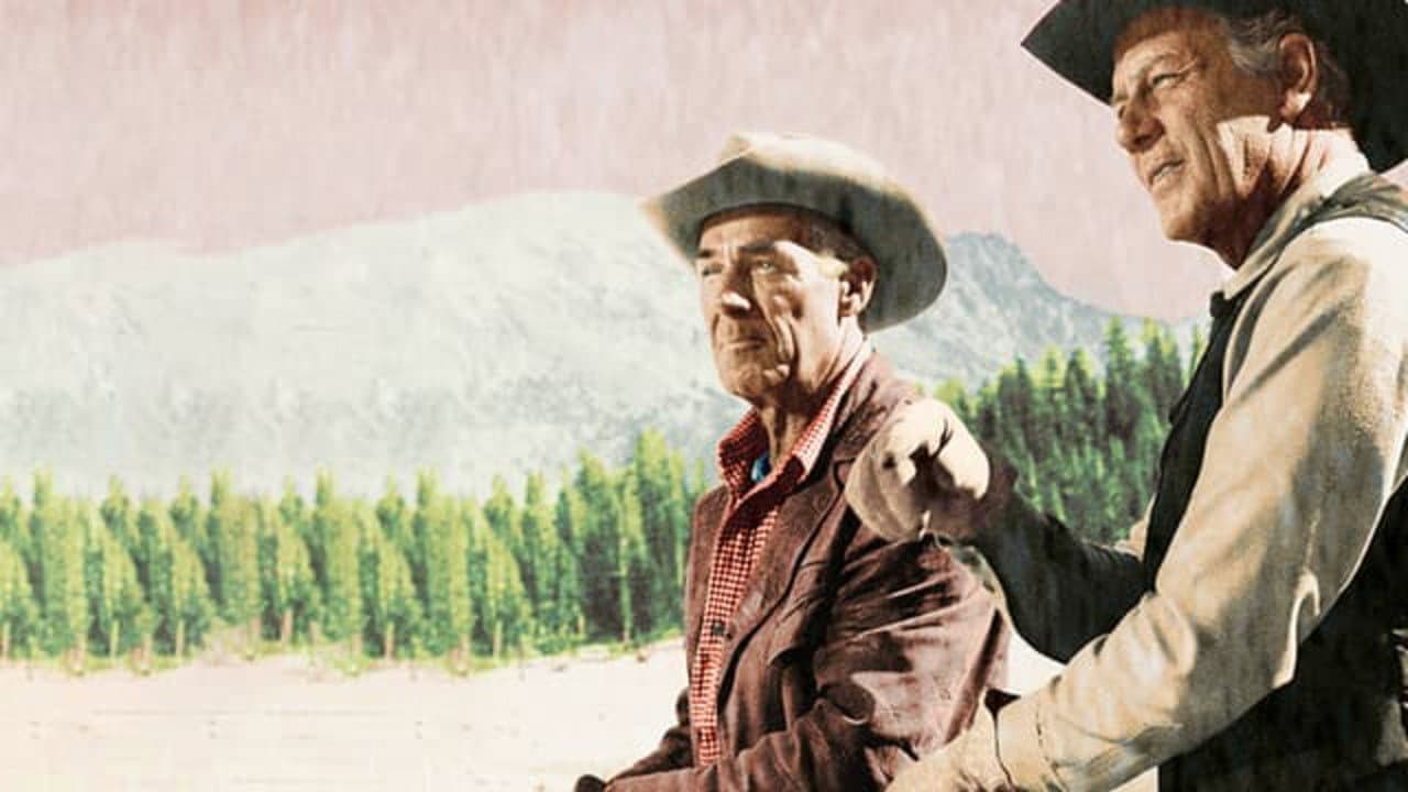 Pistoleros del atardecer