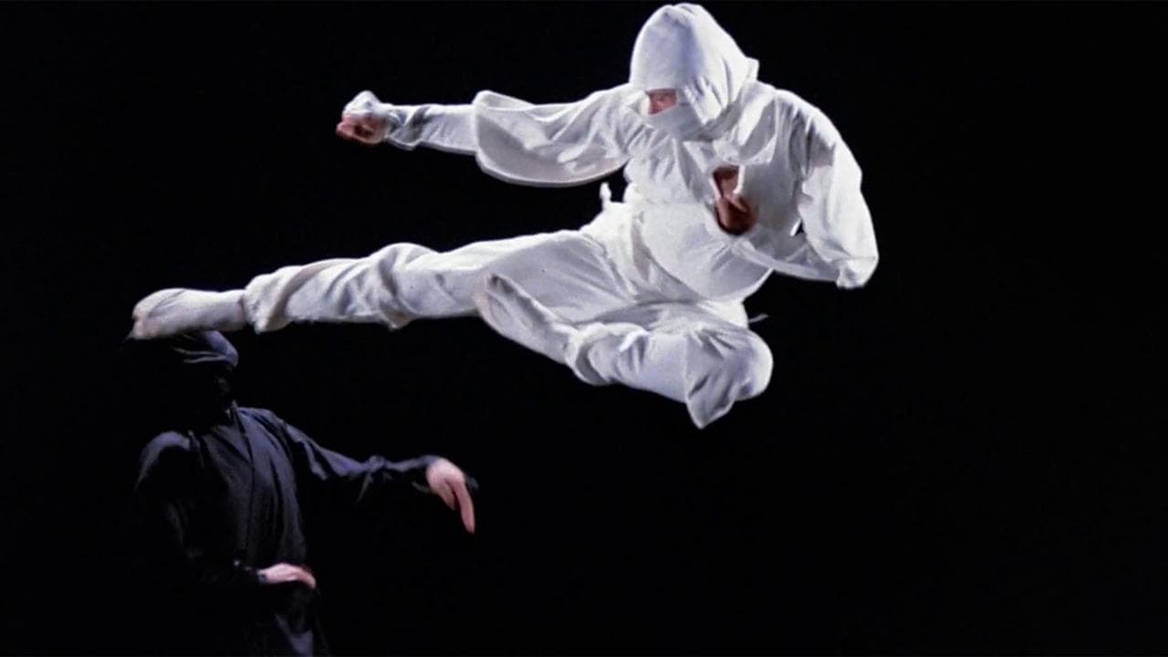 La justicia del Ninja