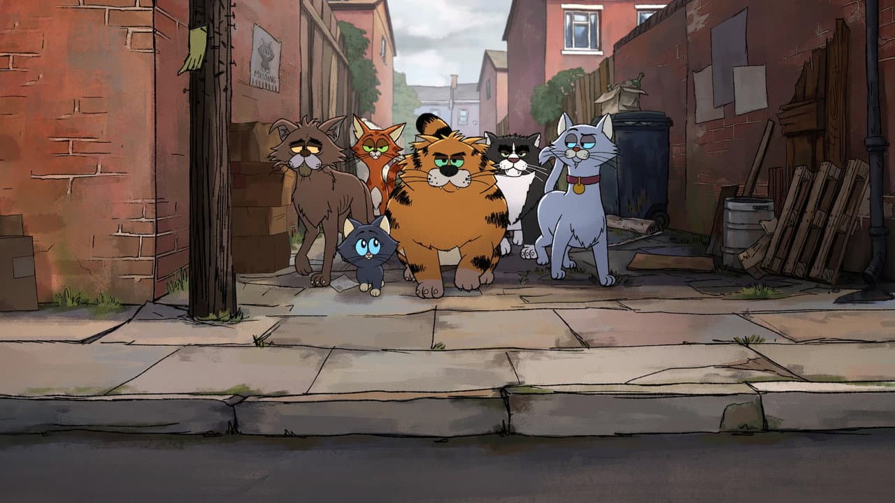 Gatos callejeros de Ricky Gervais