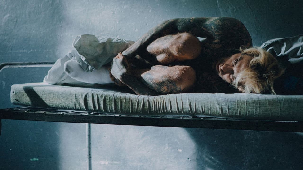 Quebonafide: Północ, Południe