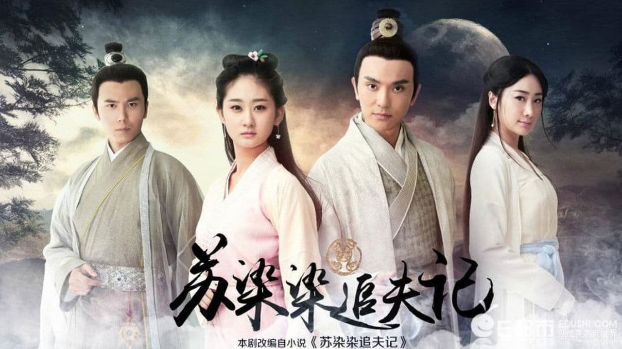 苏染染追夫记