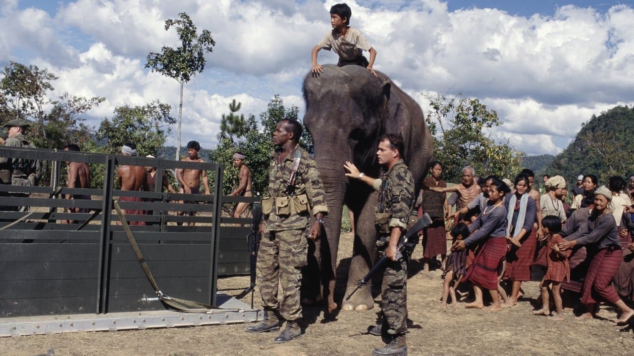 Operación Elefante