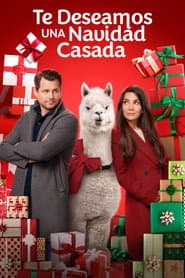 We Wish You a Married Christmas