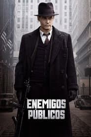 Enemigos Publicos