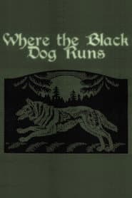 Where the Black Dog Runs